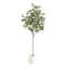 6ft. Artificial Eucalyptus Tree with White Decorative Planter